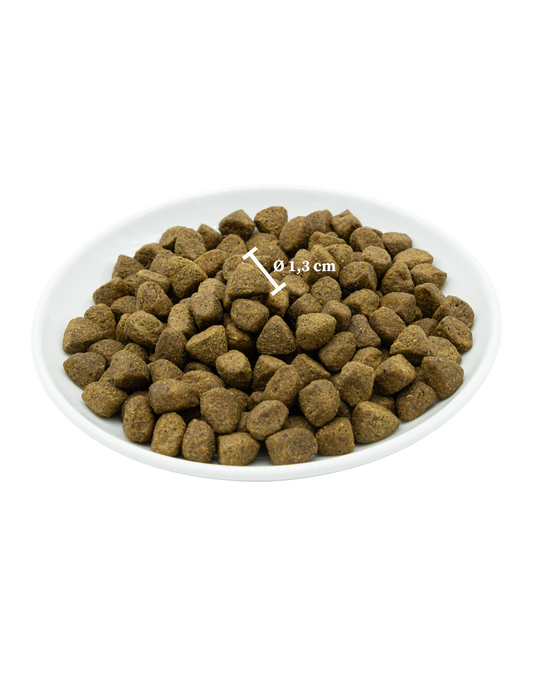 MaxiDog Dynamic 15kg