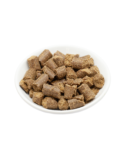 MaxiDog Champion 10kg